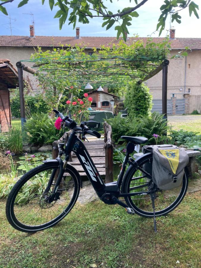 Draisina Bike Apartments Uno 奥雷吉奥卡斯特罗 外观 照片